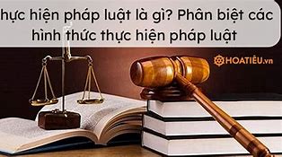 Các Hình Thức Thực Hiện Pháp Luật Lớp 12