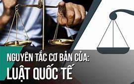 Đặc Điểm Cơ Bản Của Luật Quốc Tế