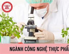 Định Hướng Nghề Nghiệp Ngành Công Nghệ Thực Phẩm