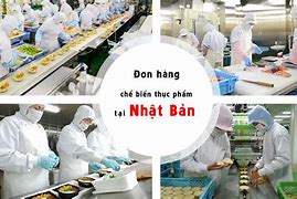 Đơn Hàng Thực Phẩm Nhật Bản 2022 Tại Mỹ Là Bao Nhiêu Tiền