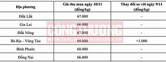 Giá Tiêu Xuất Khẩu Hôm Nay